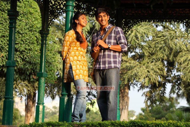 Tamil Movie Kadhalil Sodhappuvadhu Yeppadi 6227
