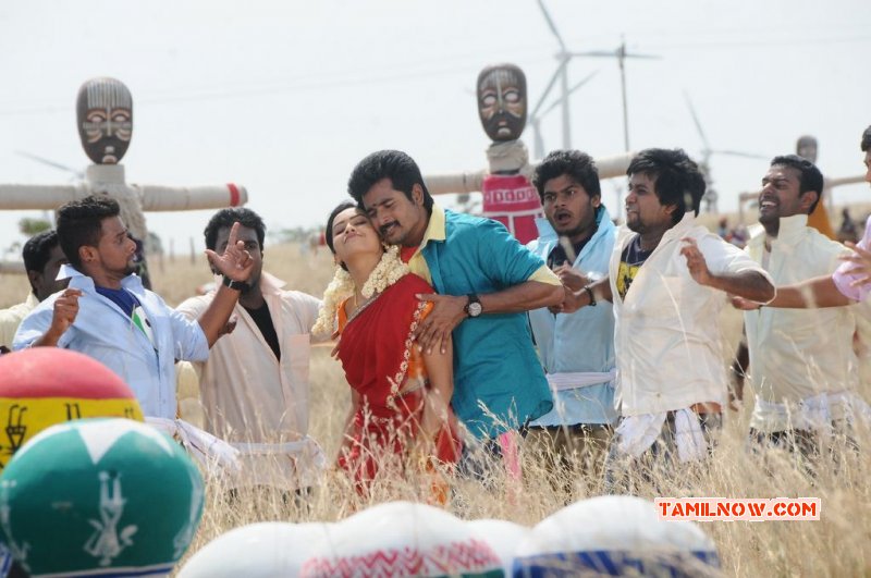 Album Siva Karthikeyan Sri Divya Kakki Sattai 354