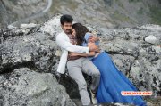 Kakki Sattai Tamil Film Wallpapers 1037