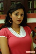 Sanam Shetty Film Kalaivendhan 421