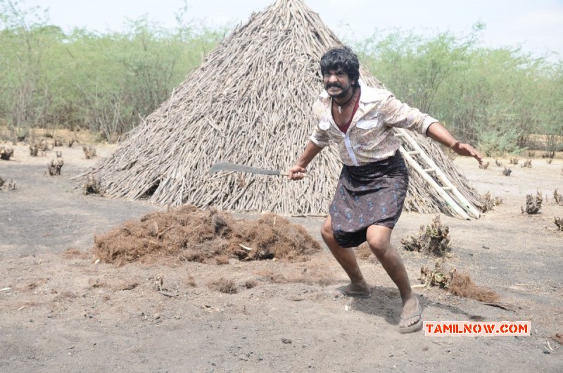 Kalathur Gramam Aug 2017 Gallery 7177