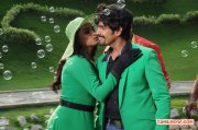 Movie Kalkandu Stills 8568