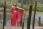 Kangaroo Stills 4081