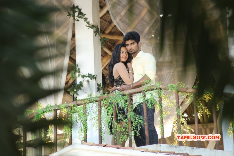 Latest Picture Kanithan Film 4194