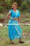 Karuvappaiya Movie Hot Still 3