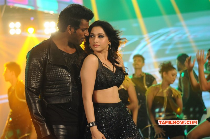 Vishal Tamannah In Kaththi Sandai Movie Album 602