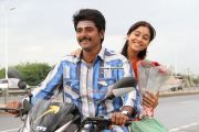 Movie Kedi Billa Killadi Ranga Stills 251