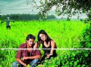 Killadi Still 1