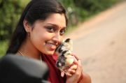 Kozhi Koovuthu Stills 5538
