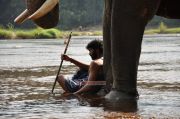 Movie Kumki Stills 5368