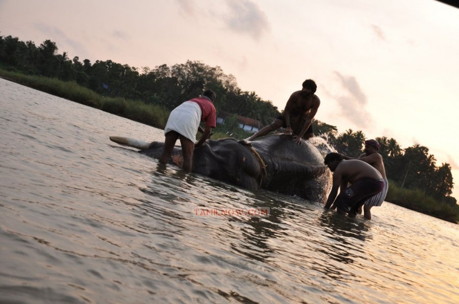 Tamil Movie Kumki Photos 1431
