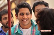 Naga Chaitanya Laila O Laila Movie Still 562