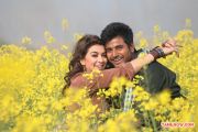 Hansika Sivakarthikeyan Maan Karate 104