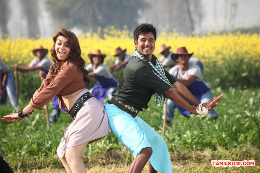 Maan Karate 1617