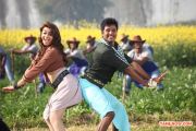 Movie Maan Karate Stills 5308