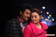 Sivakarthikeyan Hansika In Maan Karate 61