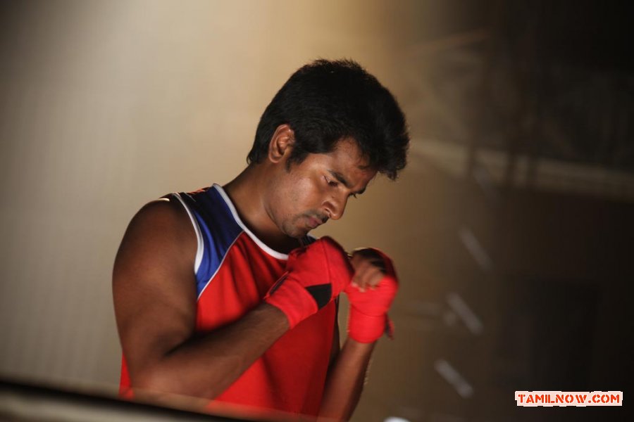Tamil Movie Maan Karate Photos 1156