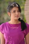 Kajal Agarwal Still Maatran 938