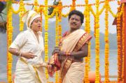 Machan 3495