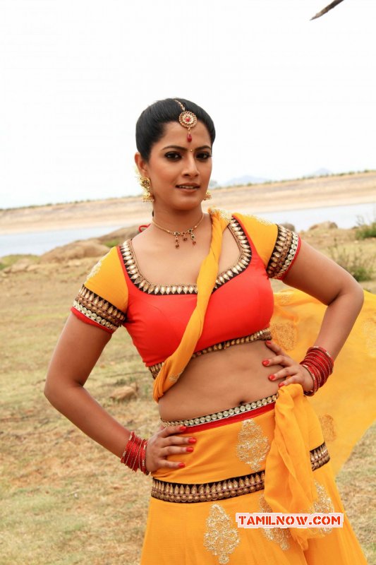 Madha Gaja Raja Film 2016 Galleries 8070