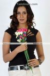 Actress Vandhana In Madhana Manmadhana4