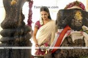 Mallukattu Actress Soundarya Hot Stills 6