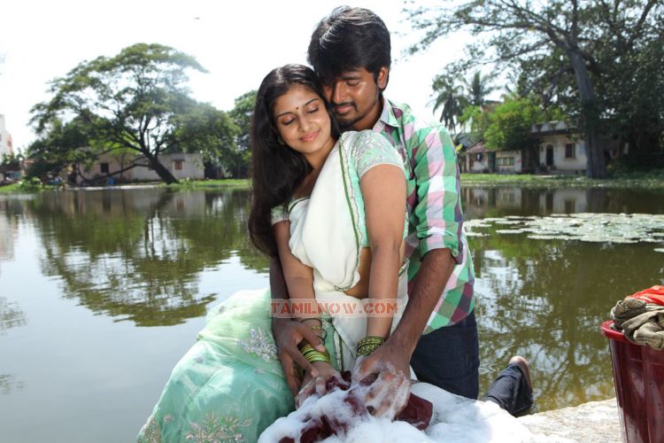 Manam Kothi Paravai 3296