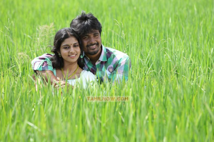 Manam Kothi Paravai 4360