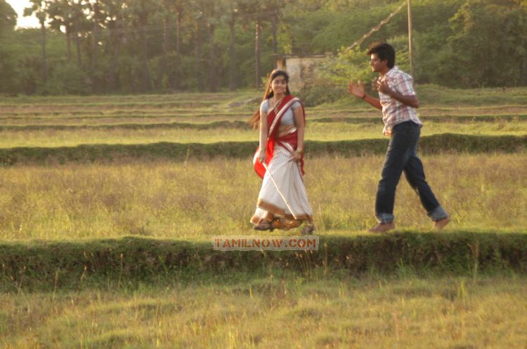 Manam Kothi Paravai 9746