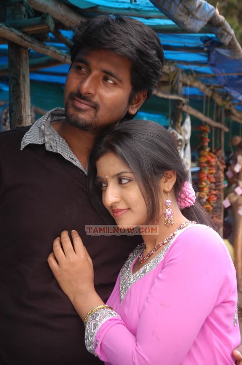 Manam Kothi Paravai Photos 2334