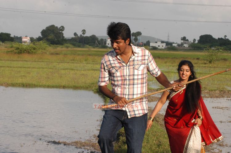 Manam Kothi Paravai Photos 8283