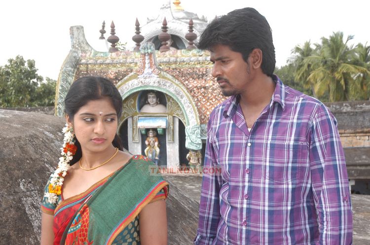 Tamil Movie Manam Kothi Paravai 251