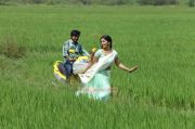 Tamil Movie Manam Kothi Paravai 5008