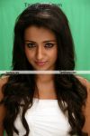 Trisha Krishnan In Mankatha 2