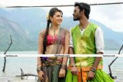 Dhanush And Hansika Motwani In Mappillai 1