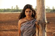 Actress Iniya In Maasani 256