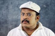 Thambi Ramaiah In Mathil Mel Poonai 429