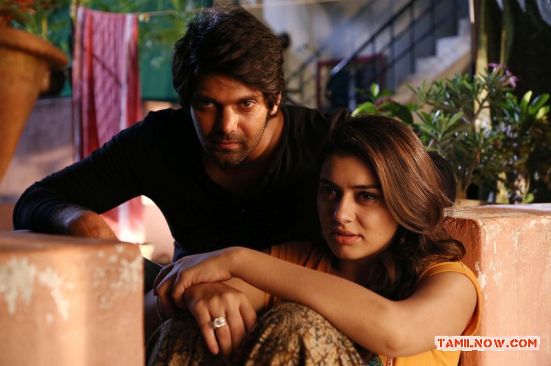 Arya Hansika In Meagaamann 367