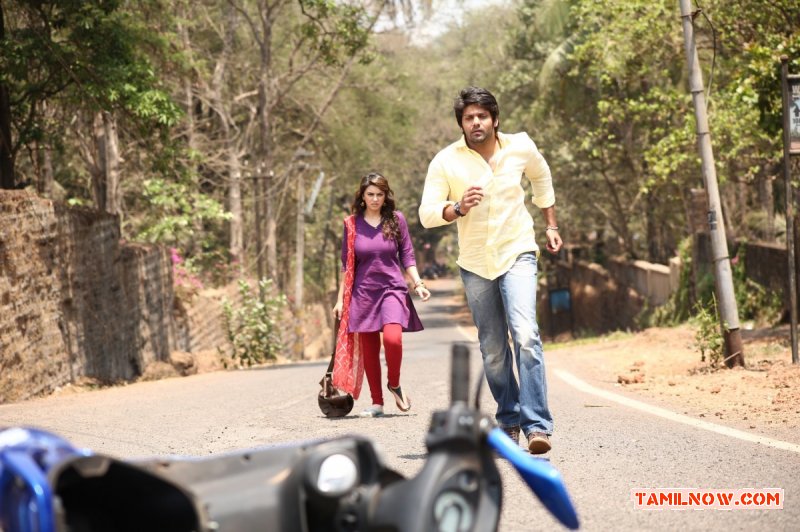 Hansika Motwani Arya In Meagaamann 994