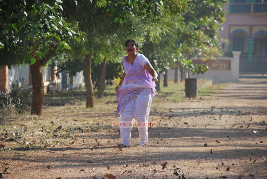 Mesthiri 8323