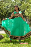 Miss Pannidatheenga Apram Varuthapaduveenga 2015 Albums 148