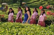 Movie Mounamana Neram Photos 685