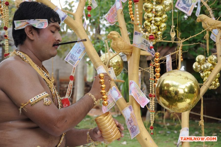 Muyal Stills 9733