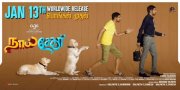 Latest Images Naai Sekar Tamil Cinema 3514
