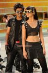 Tamil Movie Nanban Photos 2532