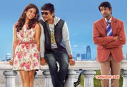 Nayanthara Udhayanidhi Stalin Movie Photo 648