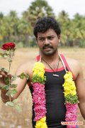 Neethane Raja Stills 5655