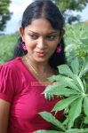 Tamil Movie Nila Meethu Kadhal 5977