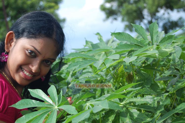 Tamil Movie Nila Meethu Kadhal Photos 9728