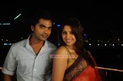 Simbu And Richa In Osthi 712